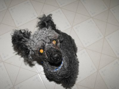 ./2009/Nigel/thumbnigel